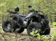 Квадроцикл PROMAX 320 DOMINATOR