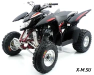  Квадроцикл ACCESS SP 300 SPORT