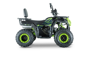 Квадроцикл YACOTA VIKING 200