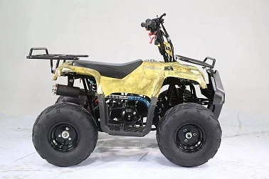 Квадроцикл MOTOLAND (МОТОЛЕНД) 110 RIDER