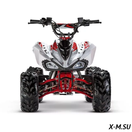 Квадроцикл ACCESS AMS 110 MINISPORT