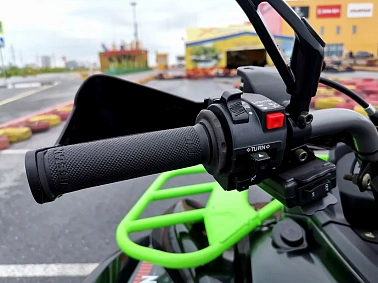 Квадроцикл PROMAX RENEGADE 300 WINCH PRO