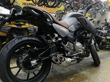 Мотоцикл Regulmoto ALIEN MONSTER 300