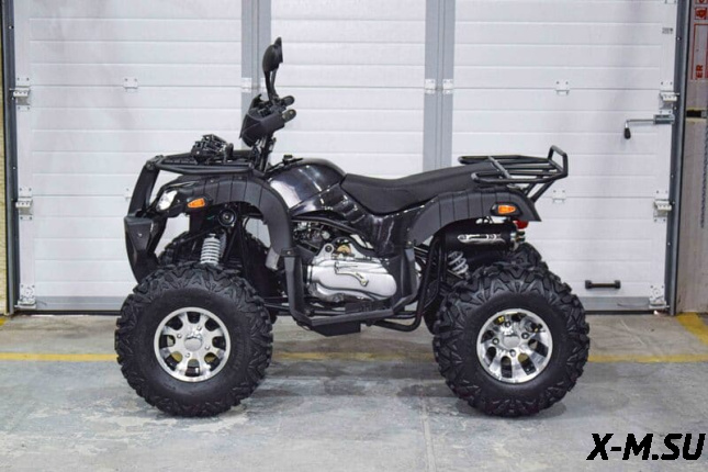 Квадроцикл Grizzly 200