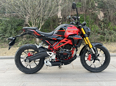 Мотоцикл PROMAX CB300RL (4V, 6G)