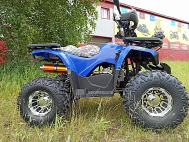 КВАДРОЦИКЛ PROMAX WILD 180 PRO