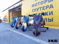 Электроскутер Дрифт Карт Drift-Trike Promax Mi101 огонь и лед
