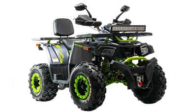Квадроцикл MOTOLAND (МОТОЛЕНД)  VOX200 WILD TRACK X WINCH (баланс. вал)